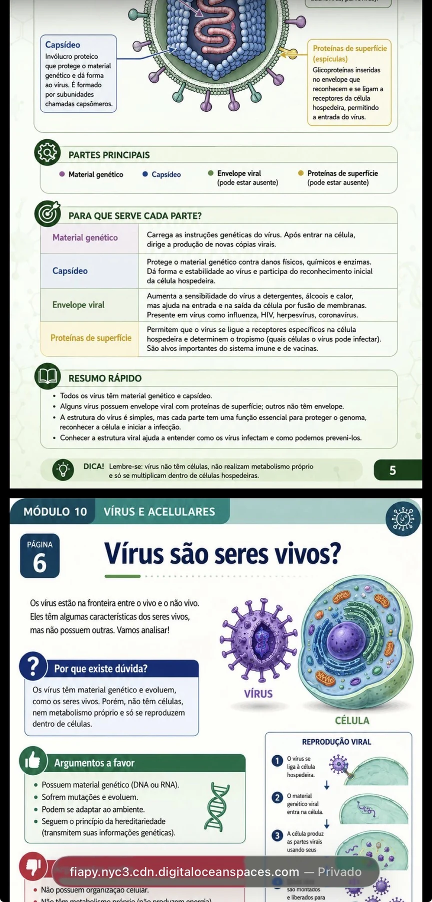 Prévia do conteúdo sobre vírus e acelulares